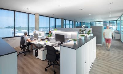 Kundenlösung TIGER Coatings mit Schallabsorber für das Büro